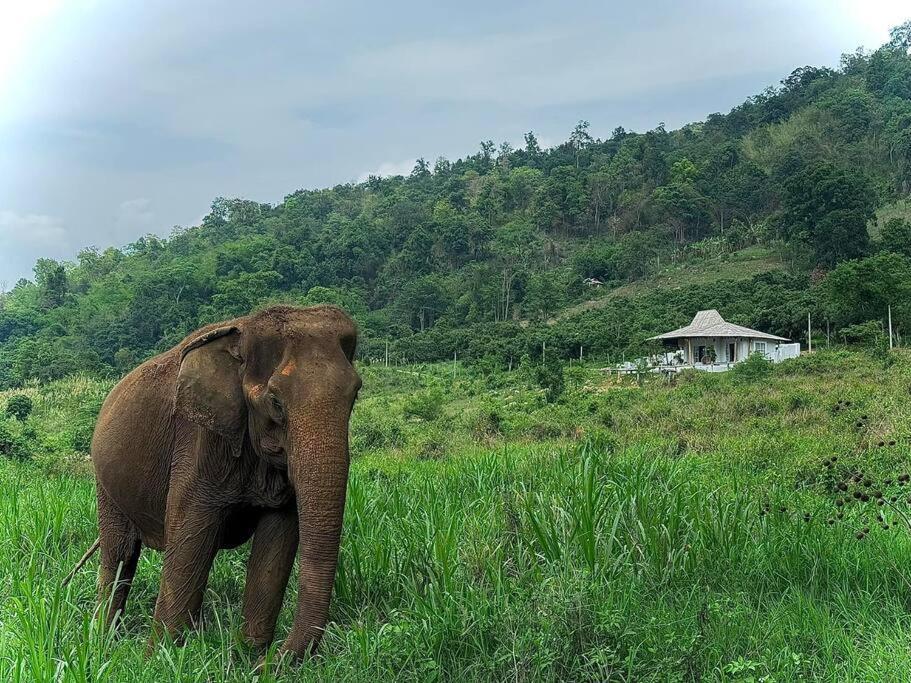 Elephantpoolvilla Maetang Chiangmai Ban Muang Kut エクステリア 写真